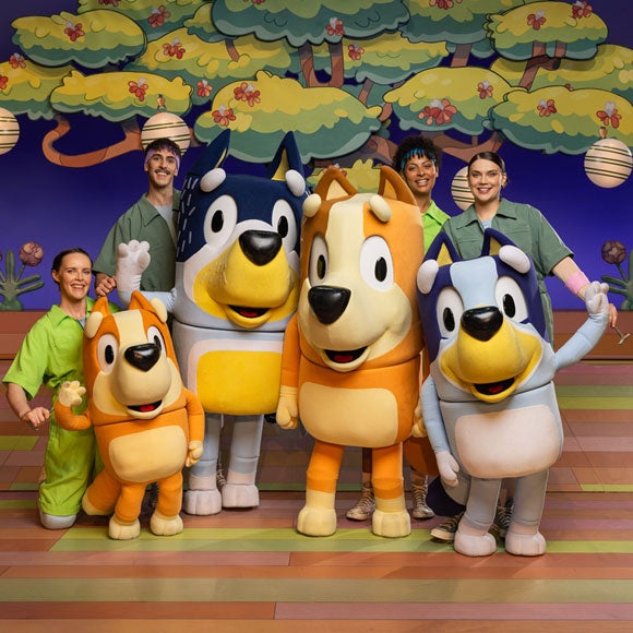 More Info for Bluey's Big Play